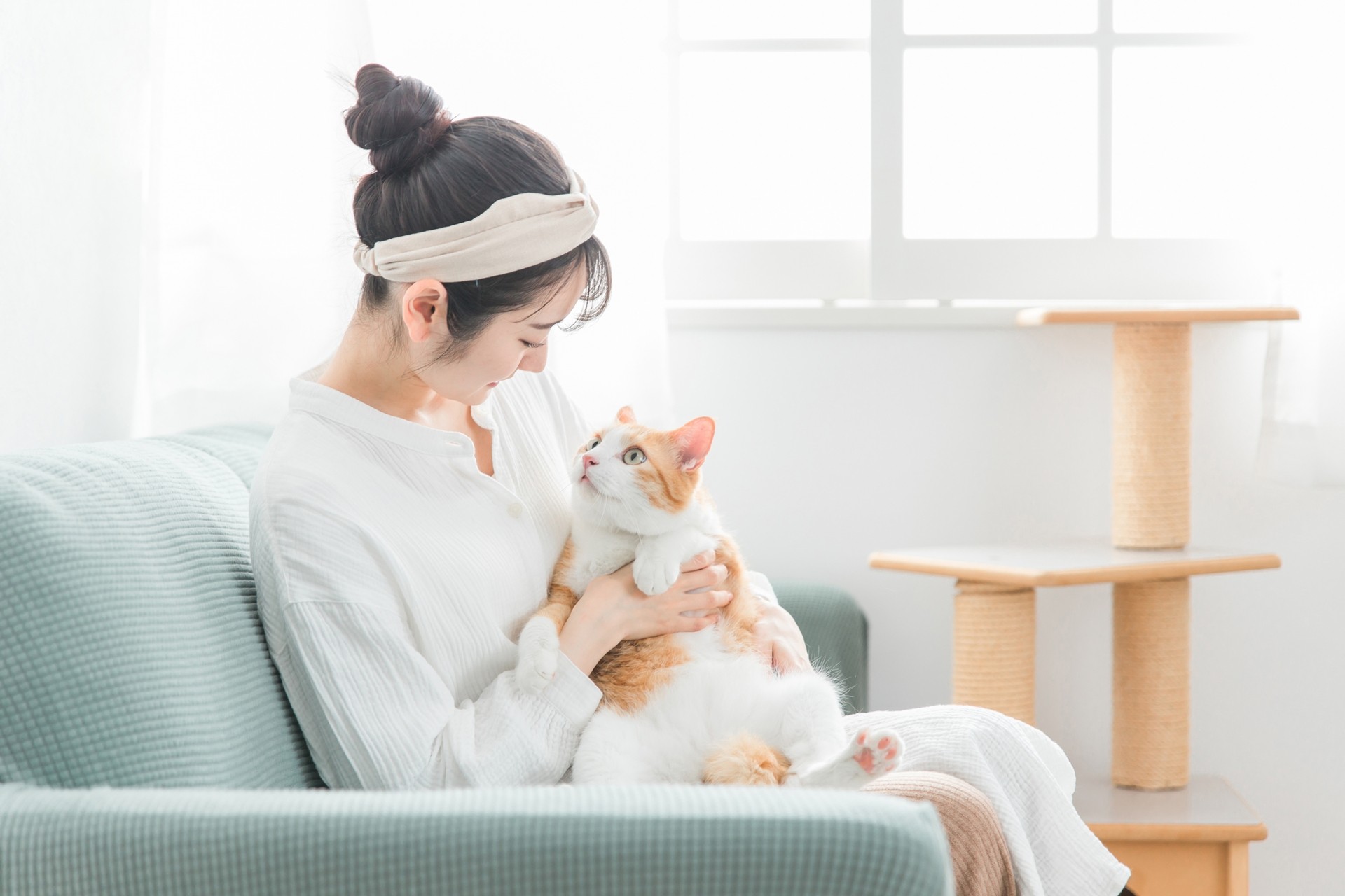 【まとめ】北名古屋市でペットとの暮らしを取り入れるローコスト注文住宅の考え方