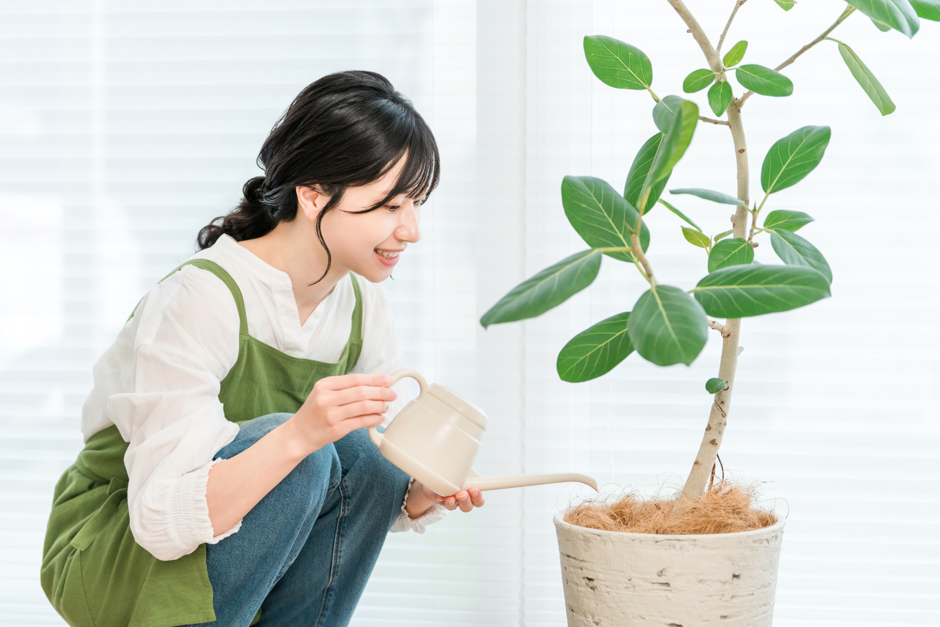 【まとめ】江南市で観葉植物を取り入れるローコスト注文住宅の考え方