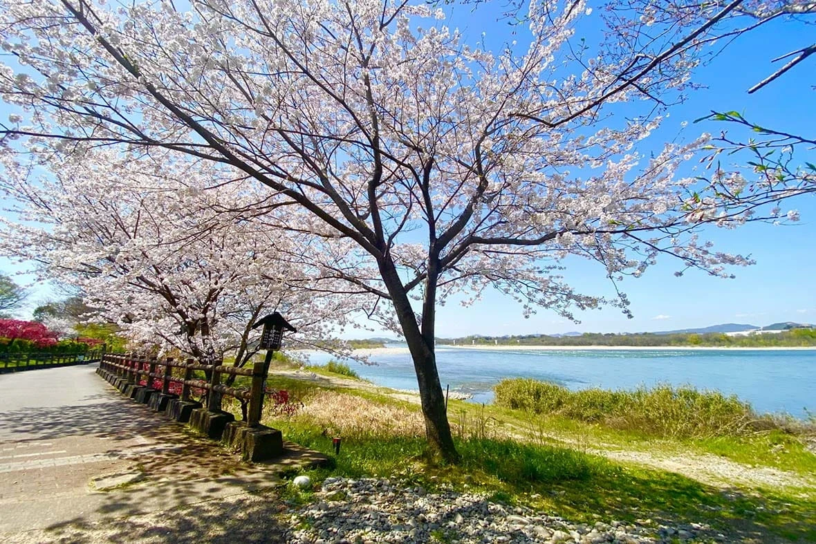 愛知県扶桑町のお出かけスポット