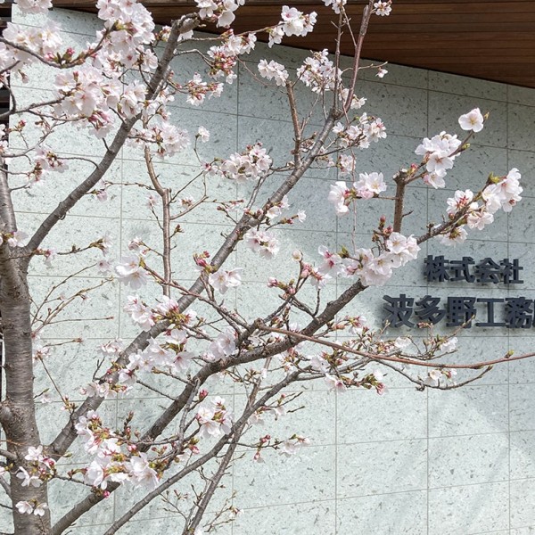 令和7年度入社式・辞令交付式を行いました。