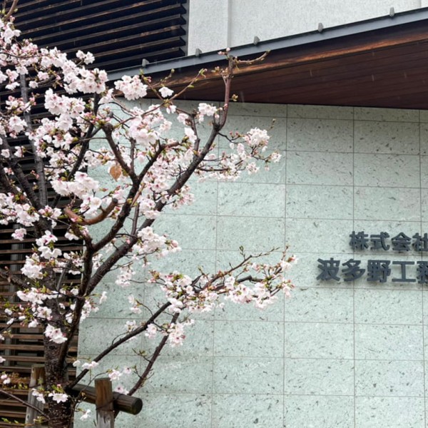 令和8年度入社式を行いました。